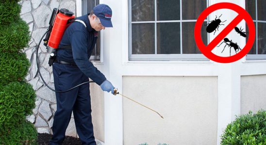 Bandırma Böcek ve Haşere İlaçlama böcek ilaçlama ve haşere kontrolü — ilaclama-tr.com